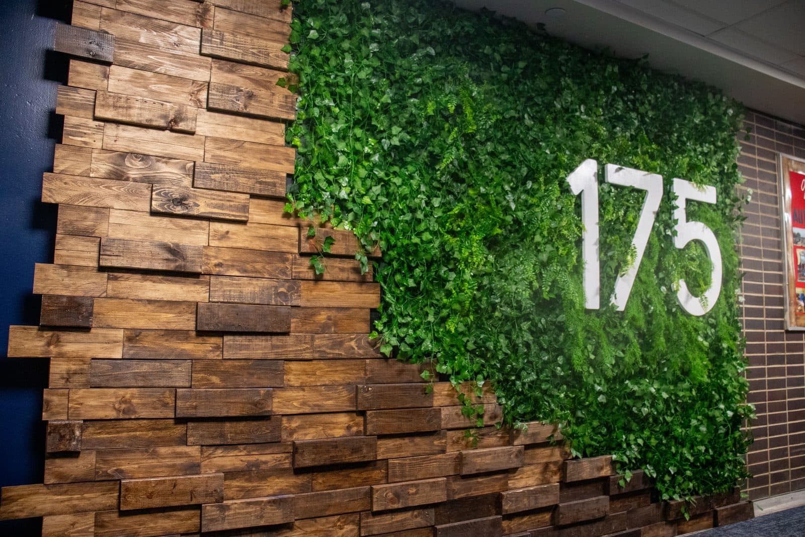 The Green Wall Project