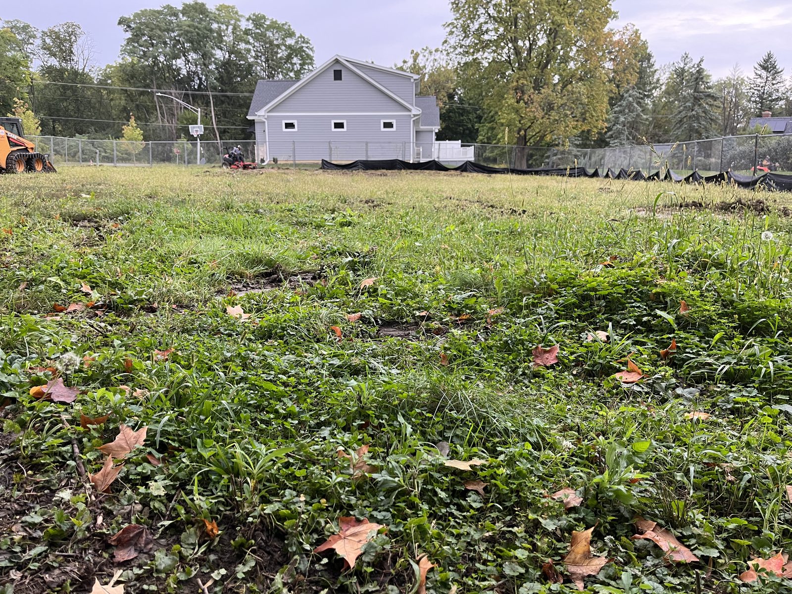 Site photo 2