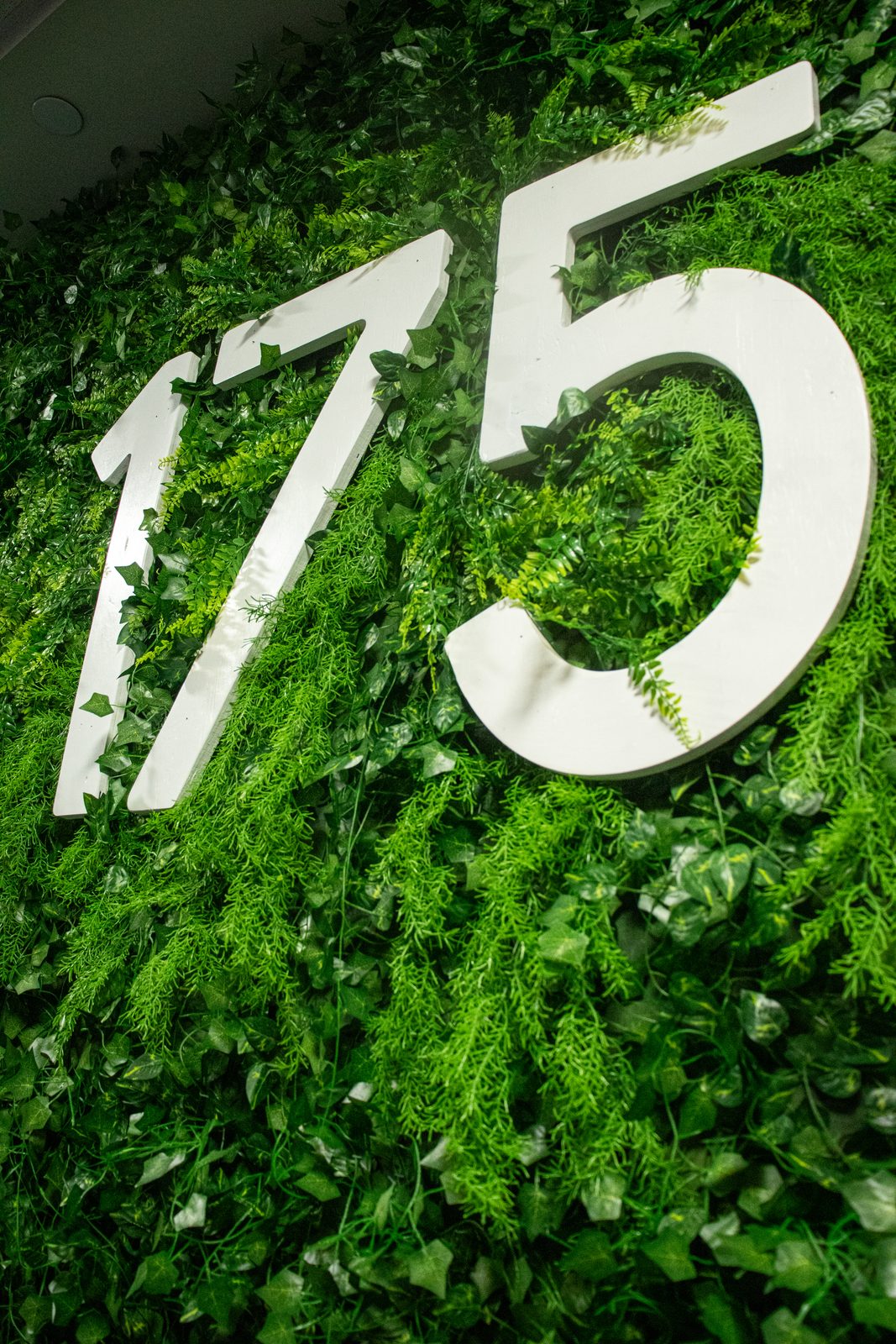 Finished green wall