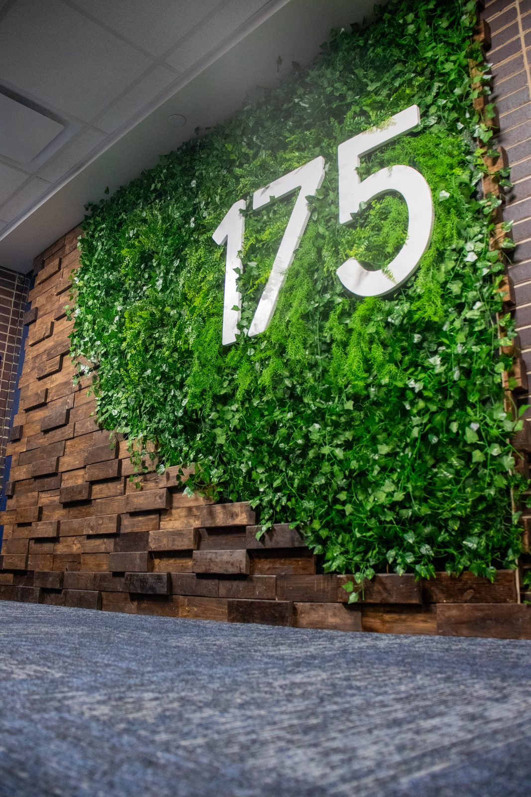 Finished green wall
