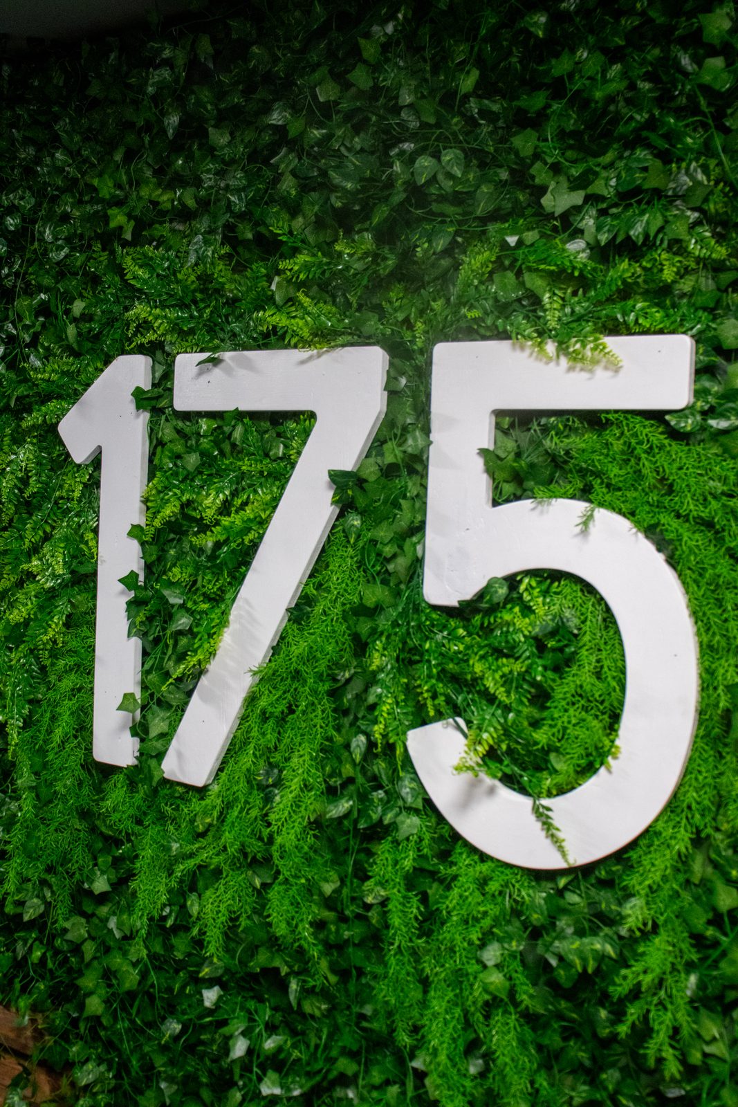 Finished green wall