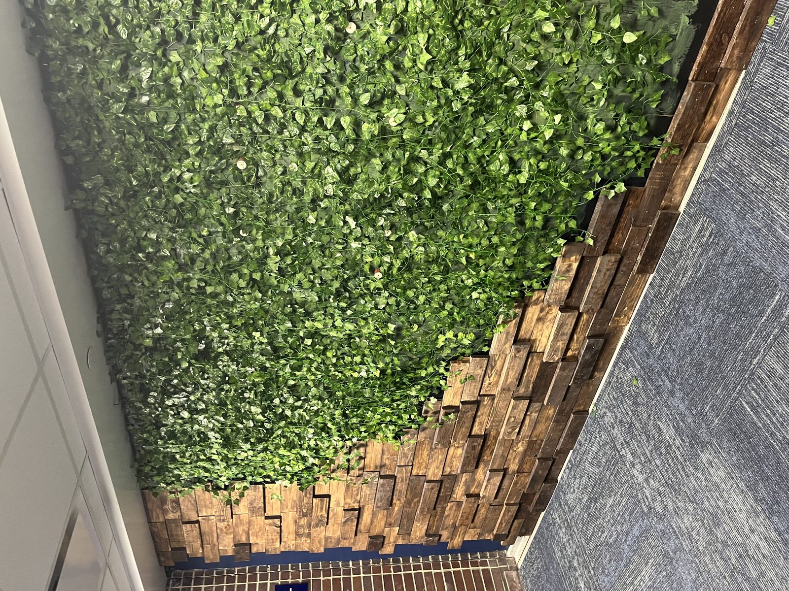 Attaching initial plants