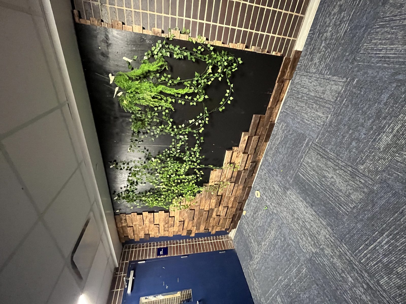 Testing how plants look